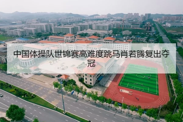 中国体操队世锦赛高难度跳马肖若腾复出夺冠