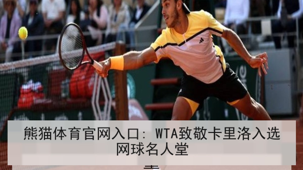 熊猫体育官网入口: WTA致敬卡里洛入选网球名人堂